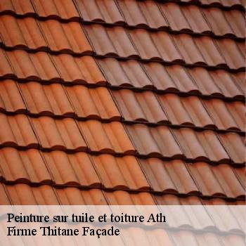 Peinture sur tuile et toiture