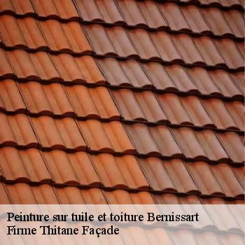 Peinture sur tuile et toiture
