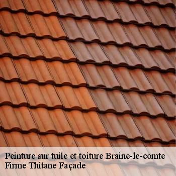 Peinture sur tuile et toiture