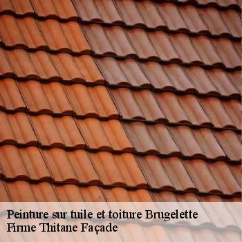 Peinture sur tuile et toiture