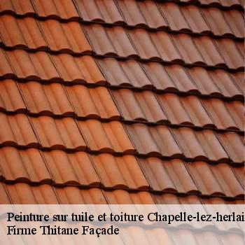 Peinture sur tuile et toiture