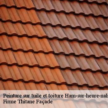Peinture sur tuile et toiture
