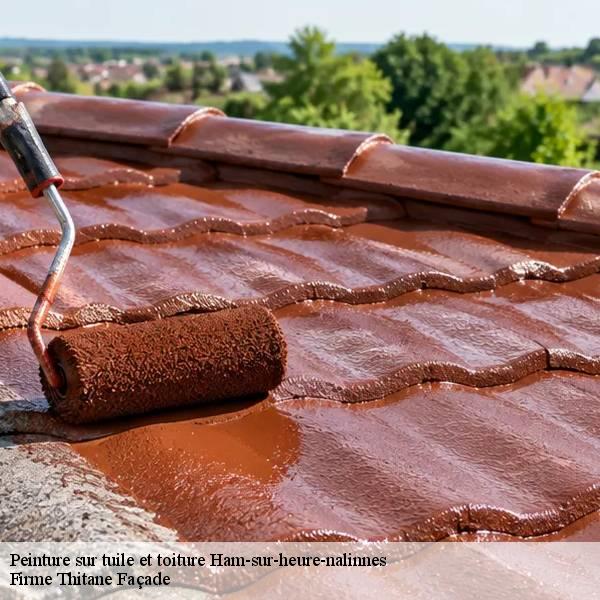 Peinture sur tuile et toiture