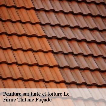 Peinture sur tuile et toiture