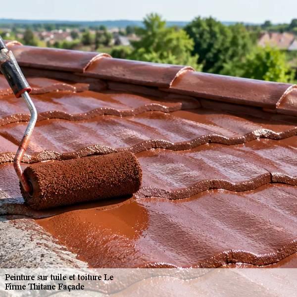 Peinture sur tuile et toiture