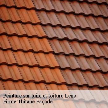 Peinture sur tuile et toiture