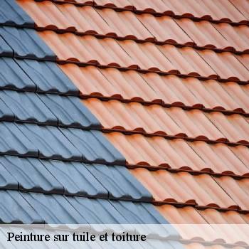 Peinture sur tuile et toiture