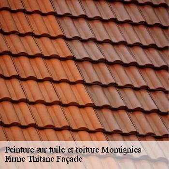 Peinture sur tuile et toiture