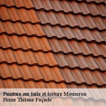 Peinture sur tuile et toiture