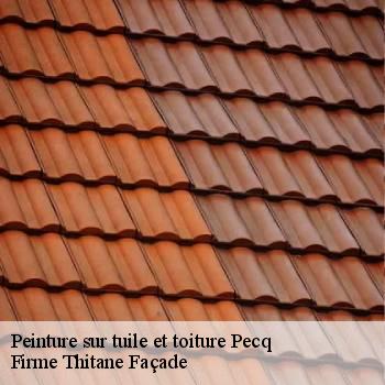 Peinture sur tuile et toiture