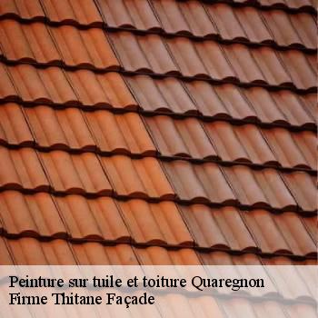 Peinture sur tuile et toiture