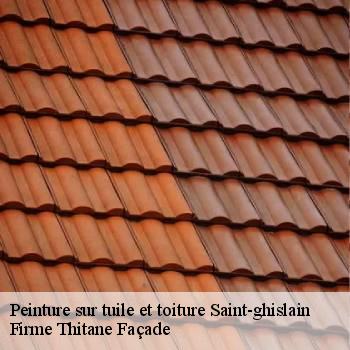 Peinture sur tuile et toiture