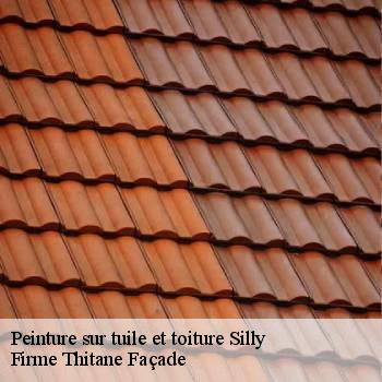 Peinture sur tuile et toiture