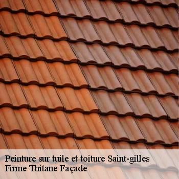 Peinture sur tuile et toiture