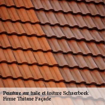 Peinture sur tuile et toiture