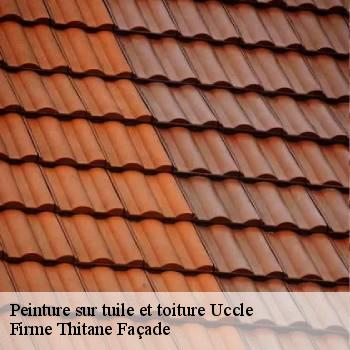 Peinture sur tuile et toiture