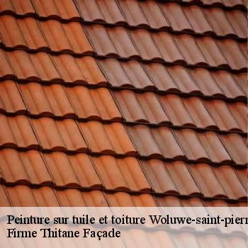 Peinture sur tuile et toiture