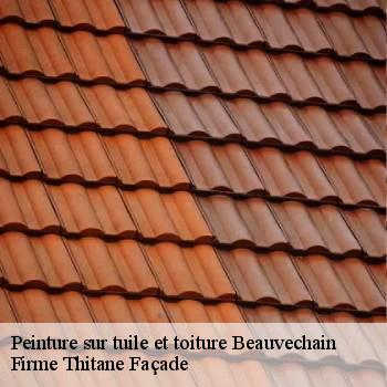 Peinture sur tuile et toiture
