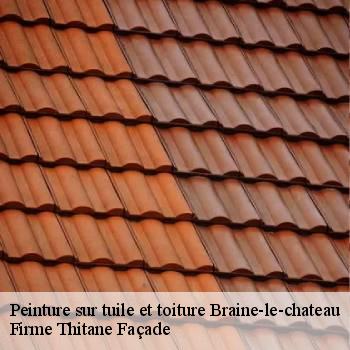Peinture sur tuile et toiture