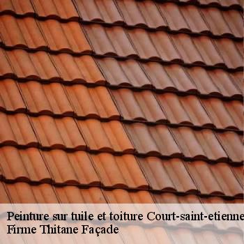Peinture sur tuile et toiture