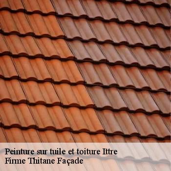 Peinture sur tuile et toiture