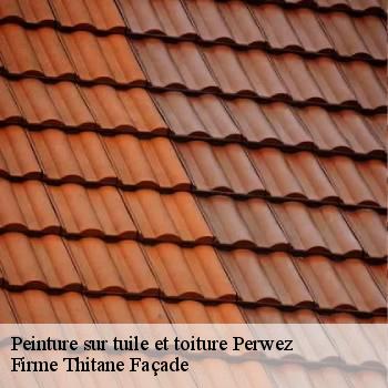 Peinture sur tuile et toiture