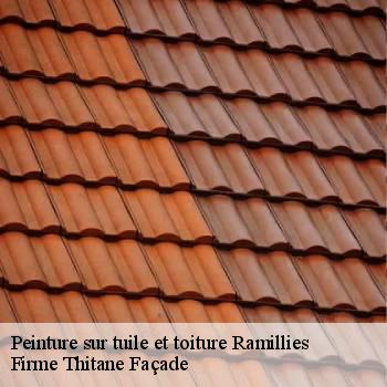 Peinture sur tuile et toiture