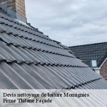 Devis nettoyage de toiture