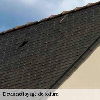 Devis nettoyage de toiture