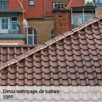 Devis nettoyage de toiture