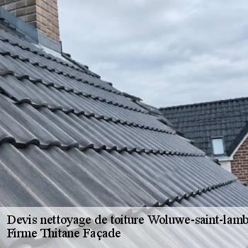 Devis nettoyage de toiture