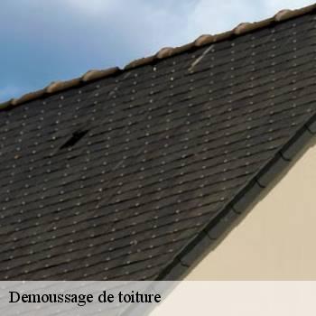 Demoussage de toiture