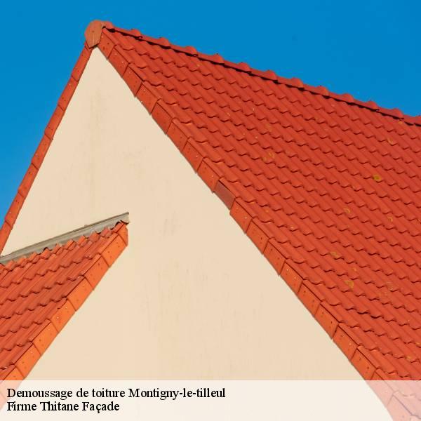 Demoussage de toiture