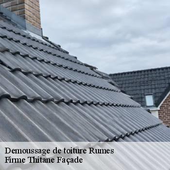 Demoussage de toiture