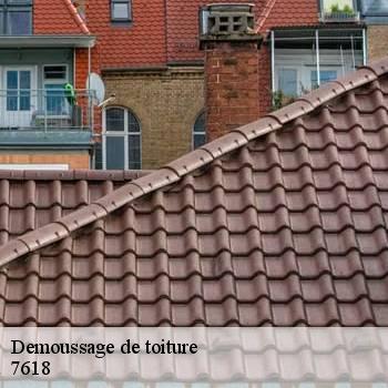 Demoussage de toiture