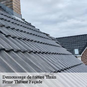 Demoussage de toiture
