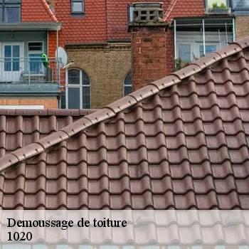 Demoussage de toiture