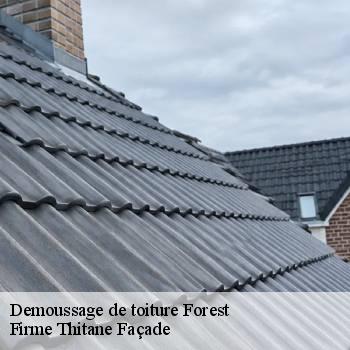 Demoussage de toiture