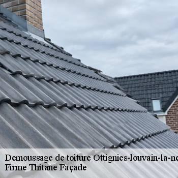 Demoussage de toiture