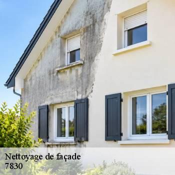 Nettoyage de façade