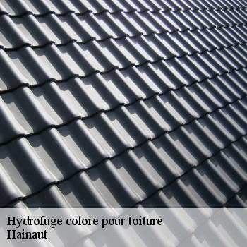 Hydrofuge colore pour toiture