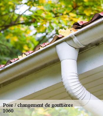 Pose / changement de gouttières