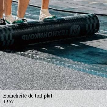 Etanchéité de toit plat