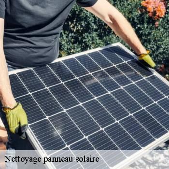 Nettoyage panneau solaire