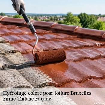 Hydrofuge colore pour toiture