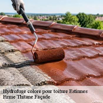 Hydrofuge colore pour toiture