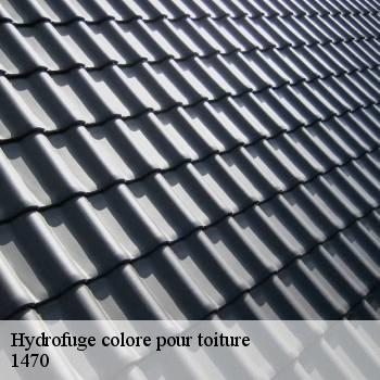 Hydrofuge colore pour toiture