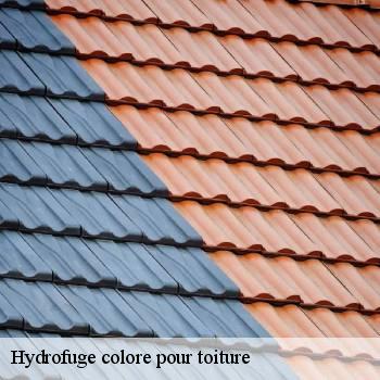 Hydrofuge colore pour toiture