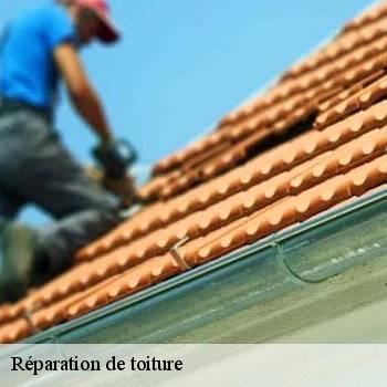 Réparation de toiture