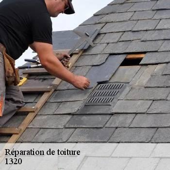 Réparation de toiture
